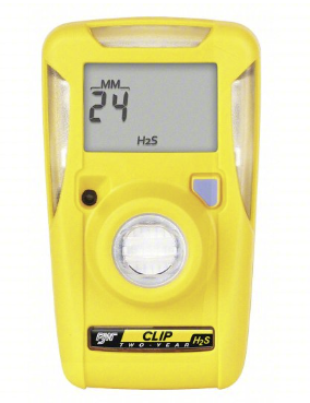 BWC2H | BW H2S Gas Monitor